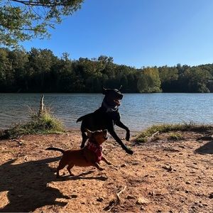 Meet your Posher, Richard